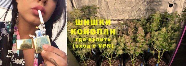 эйфоретик Белая Холуница