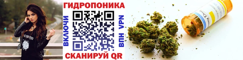 МЕГА ССЫЛКА Тырныауз Шишки марихуана THC 21%